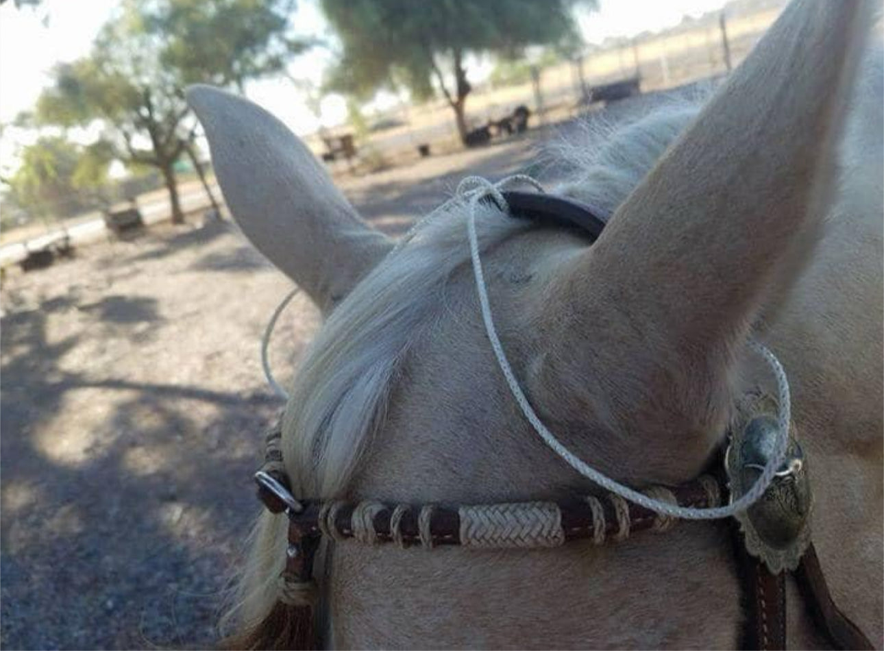 Plush Horse Ear Plugs