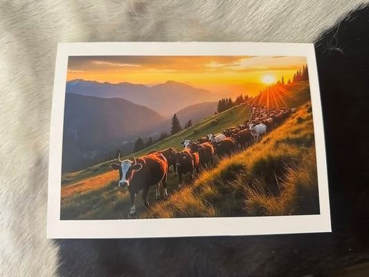 "Green Pastures" Greeting Card