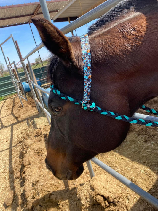 Mule tape War bonnet