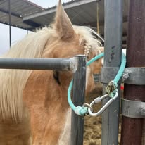 Single Loop Lariat Rope Clip Bucket Hanger ( Cowboys duct tape!)