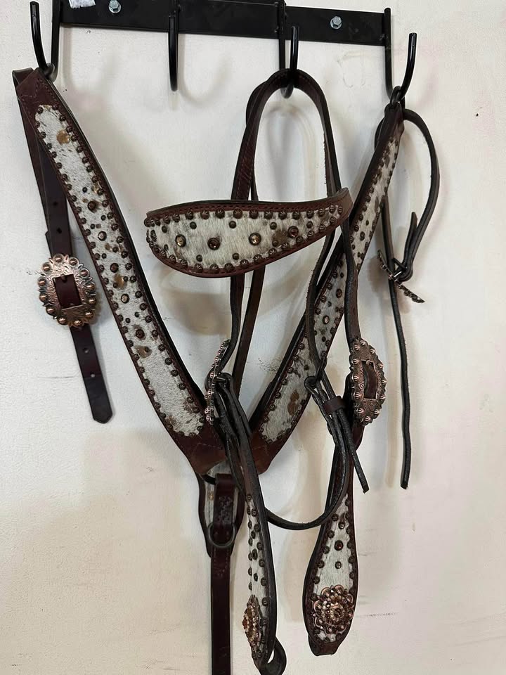 Weaver Gold Dust Headstall & Breast collar Set